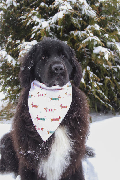 Dachshund Christmas Bandana