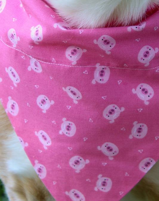 Piggy Bandana