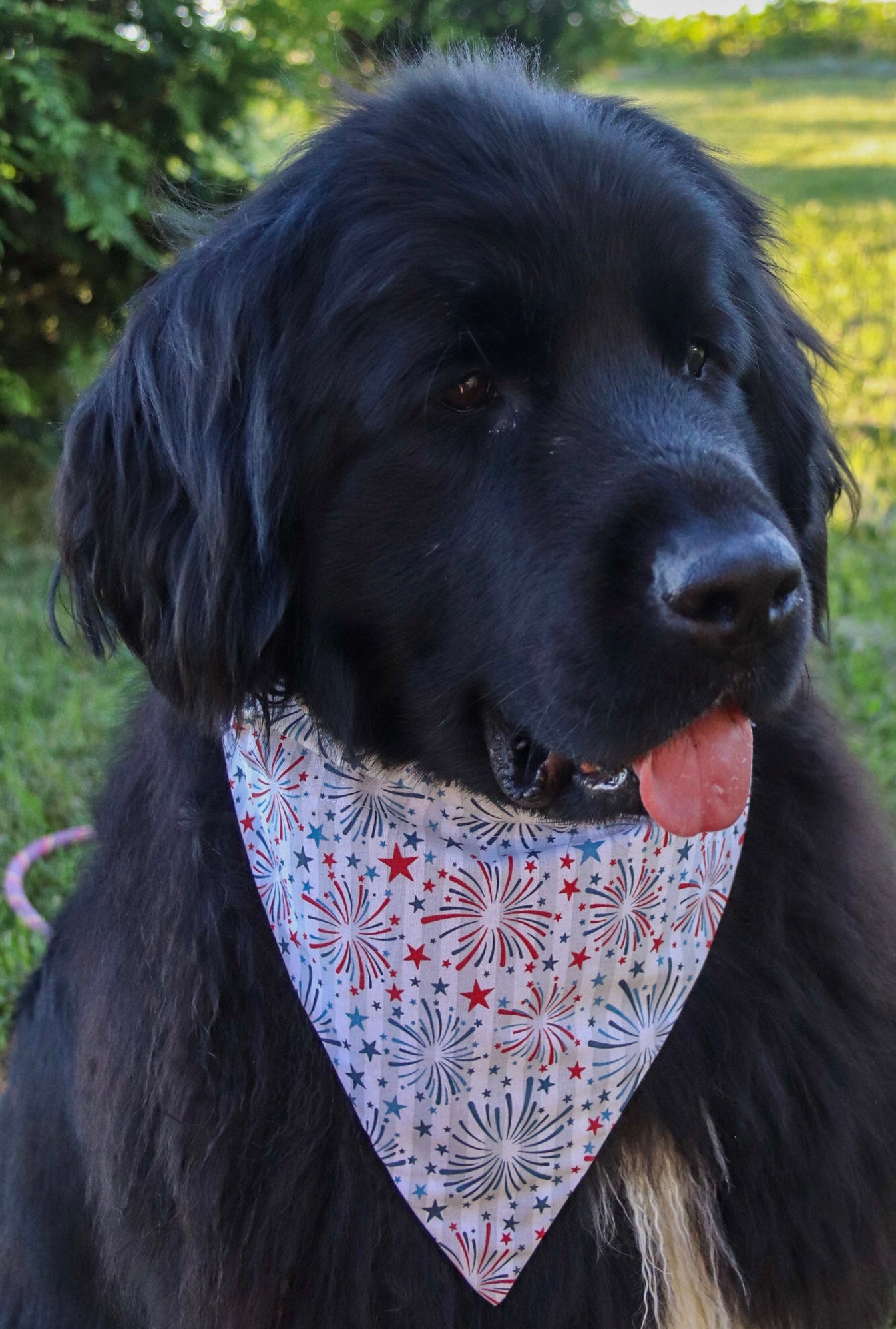 Fireworks Bandana