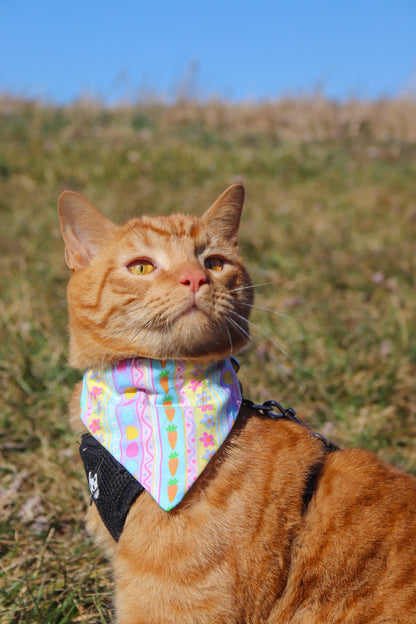 Pastel Easter Cat Bandana