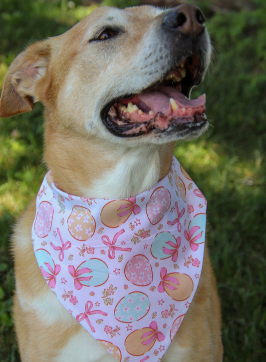 Eggs & Bows Bandana
