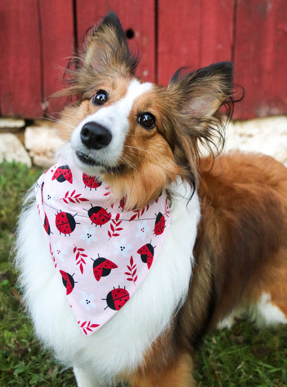 Ladybug Bandana