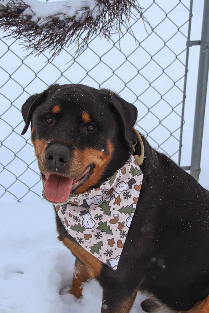 Snowman Bandana