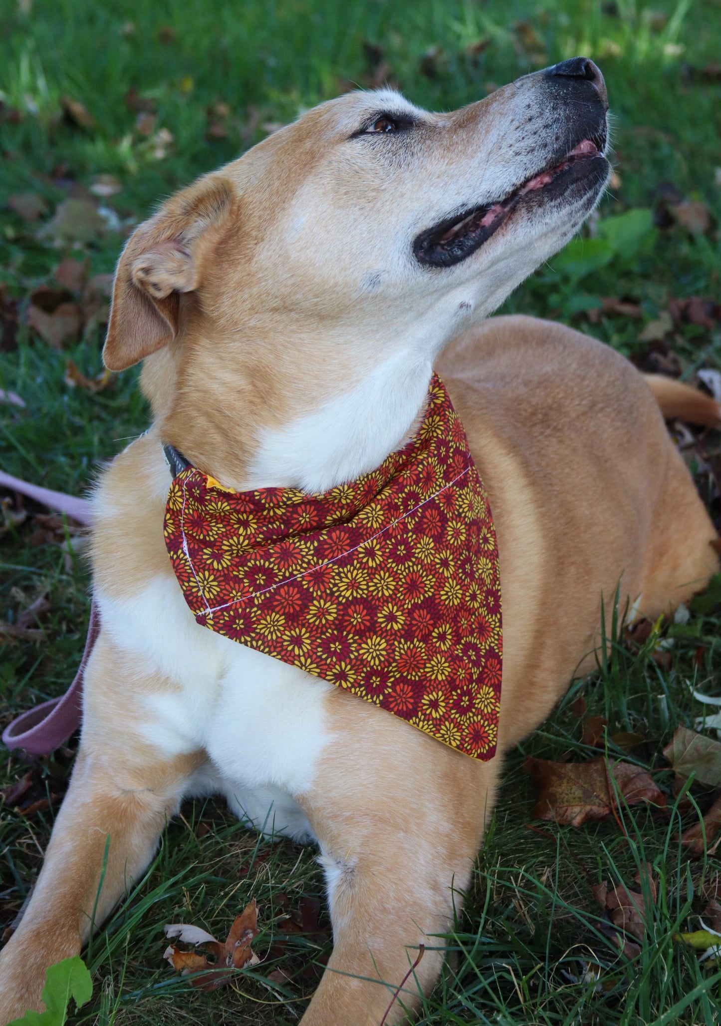 Fall Floral Bandana