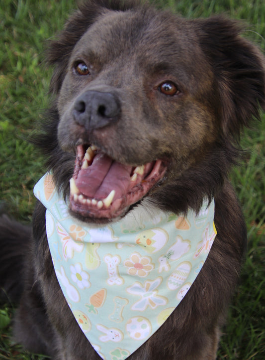 Easter Cookie Bandana