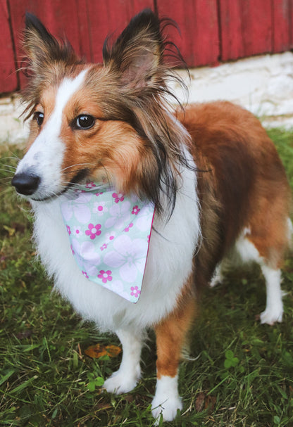 Tropical Flower Bandana
