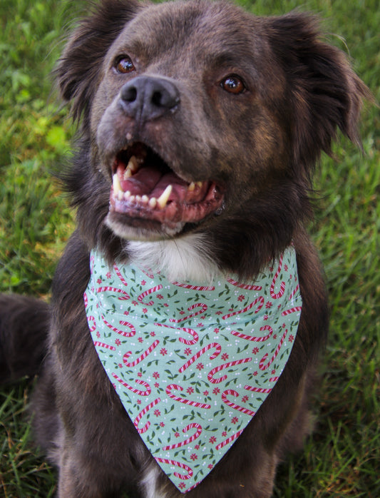 Candy Cane Bandana