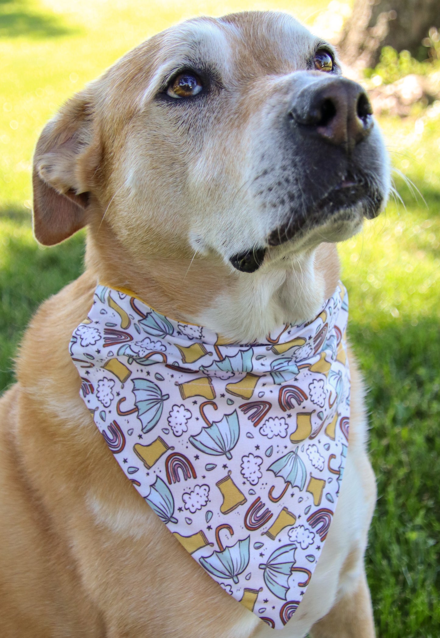 Rainy Day Bandana