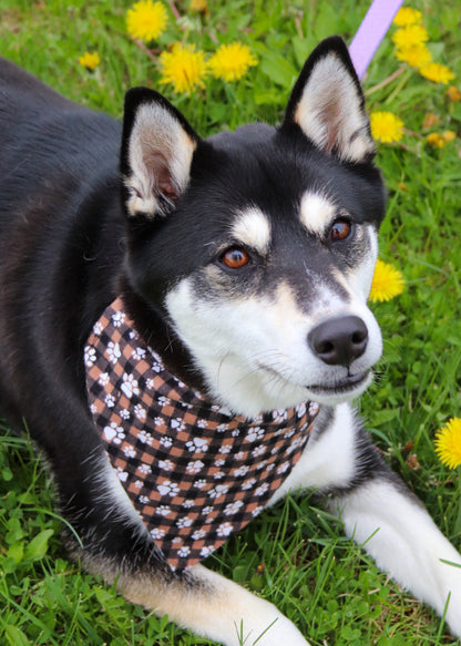 Fuzzy Plaid Pawprint Bandana