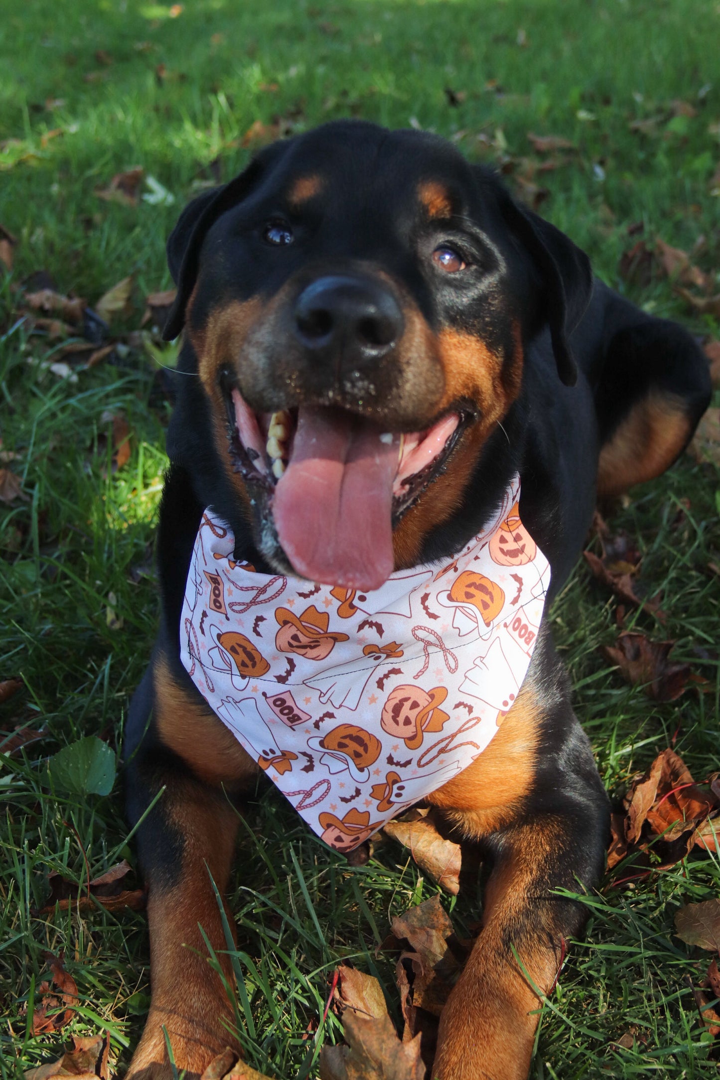 Cowboy Halloween Bandana