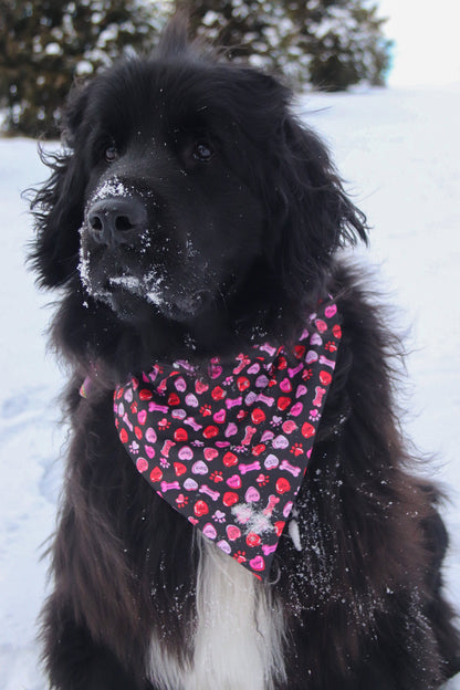 Woof Candy Hearts Bandana