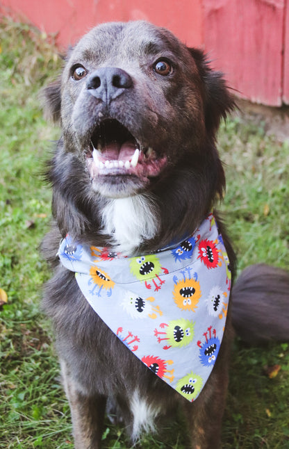 Crazy Monster Bandana