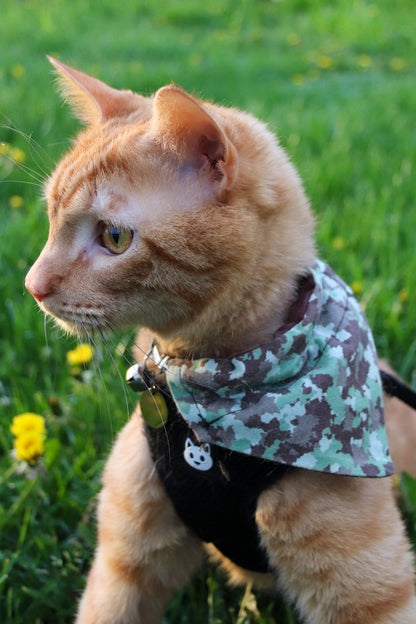 Camo Cat Bandana