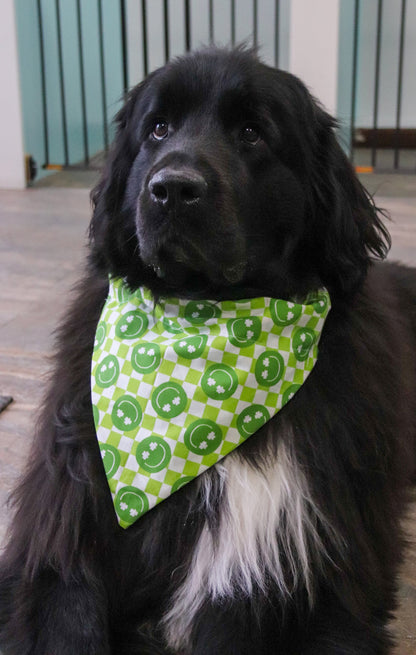 Shamrock Smiley Checkered Bandana