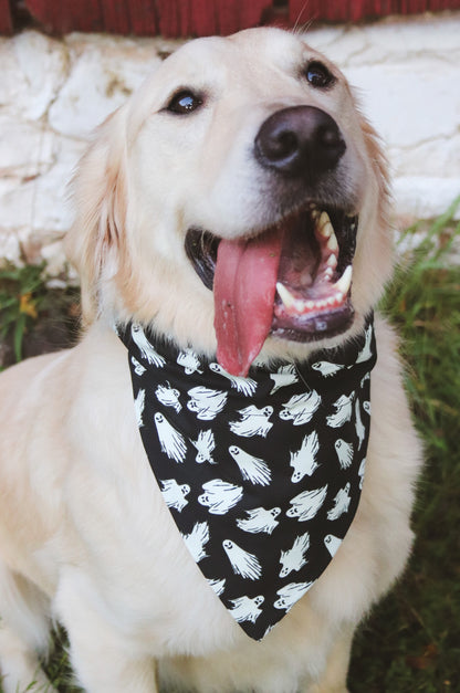 Glow In The Dark Ghost Bandana