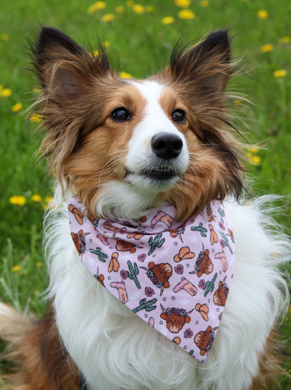 Pink Highland Cow Bandana