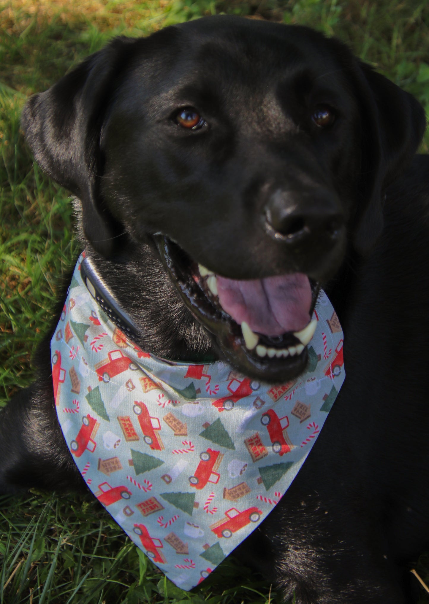 Tree Farm Bandana