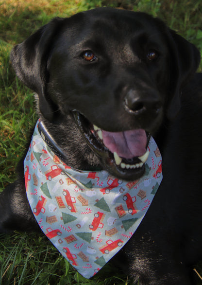 Tree Farm Bandana