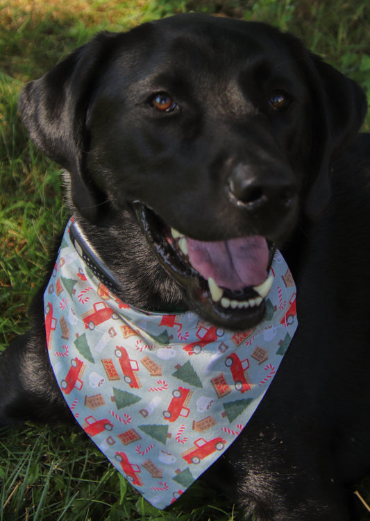Tree Farm Bandana
