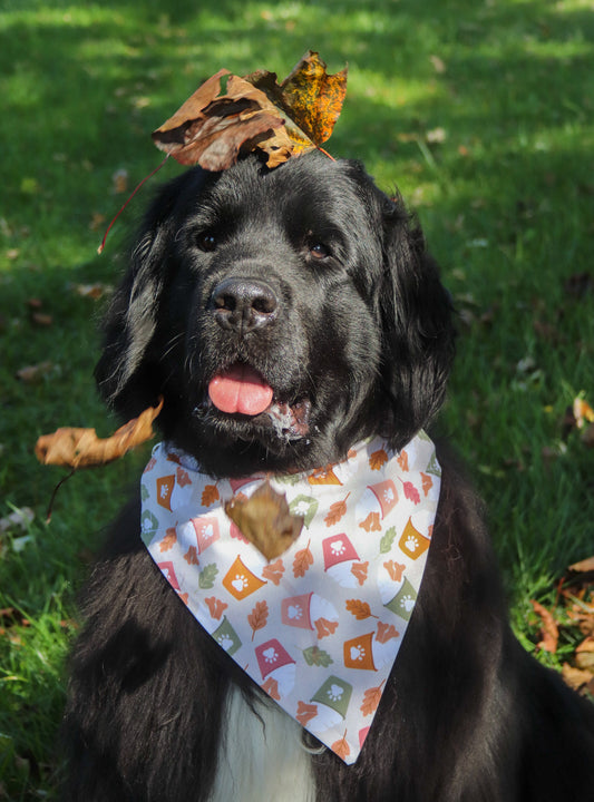 Fall Leaves & Pupcup Bandana