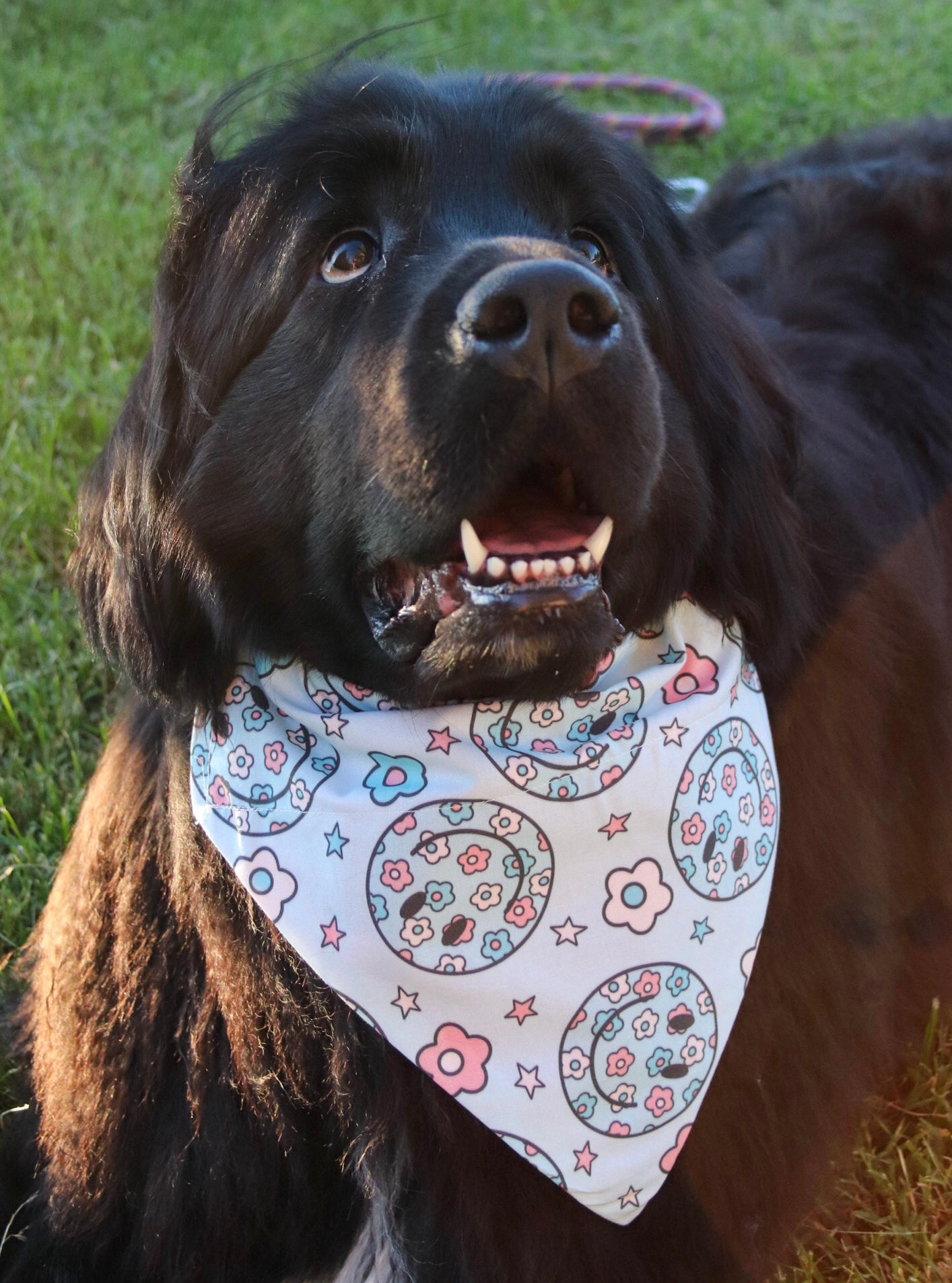 Floral Smiley Face Bandana