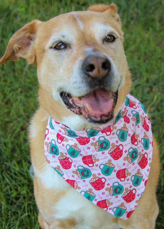 Hot chocolate Bandana