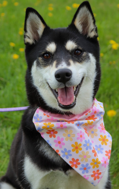 Summer Floral Bandana
