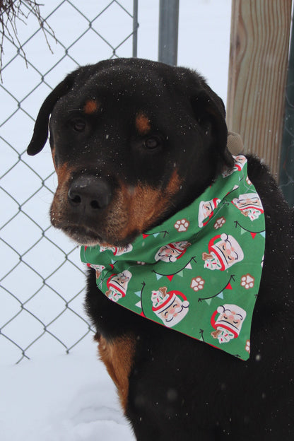 Santa Cocoa Bandana