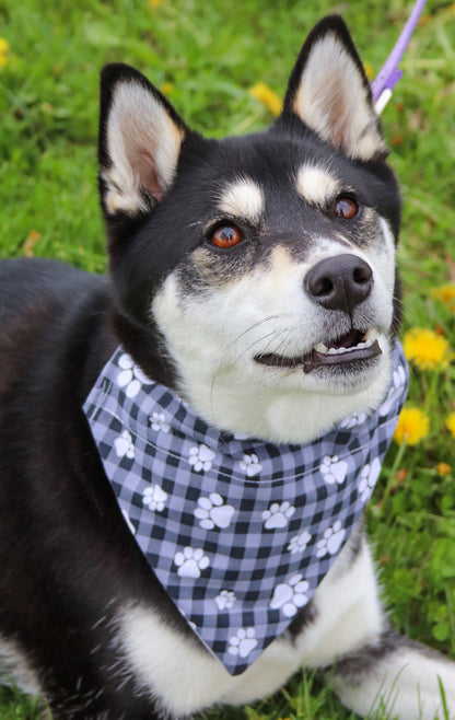 Gray Plaid Pawprint