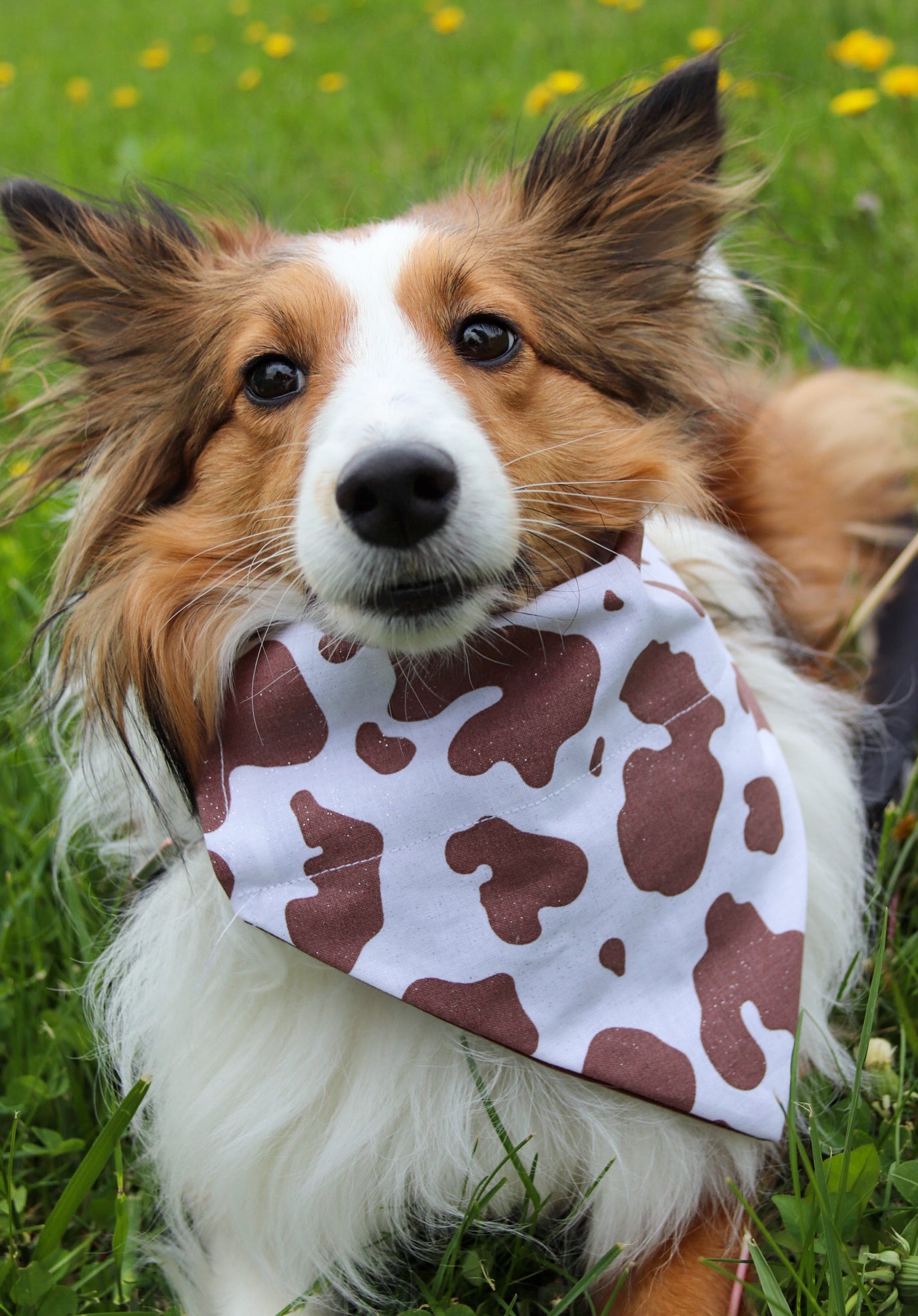 Glitter Brown Cow Bandana