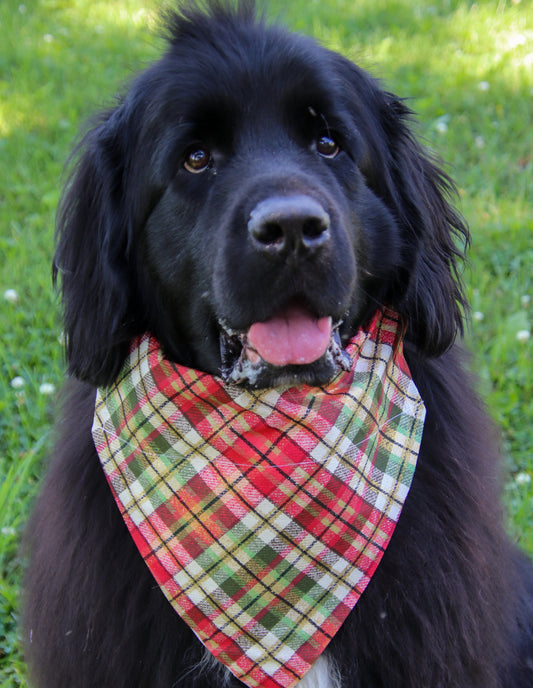 Christmas Plaid Bandana