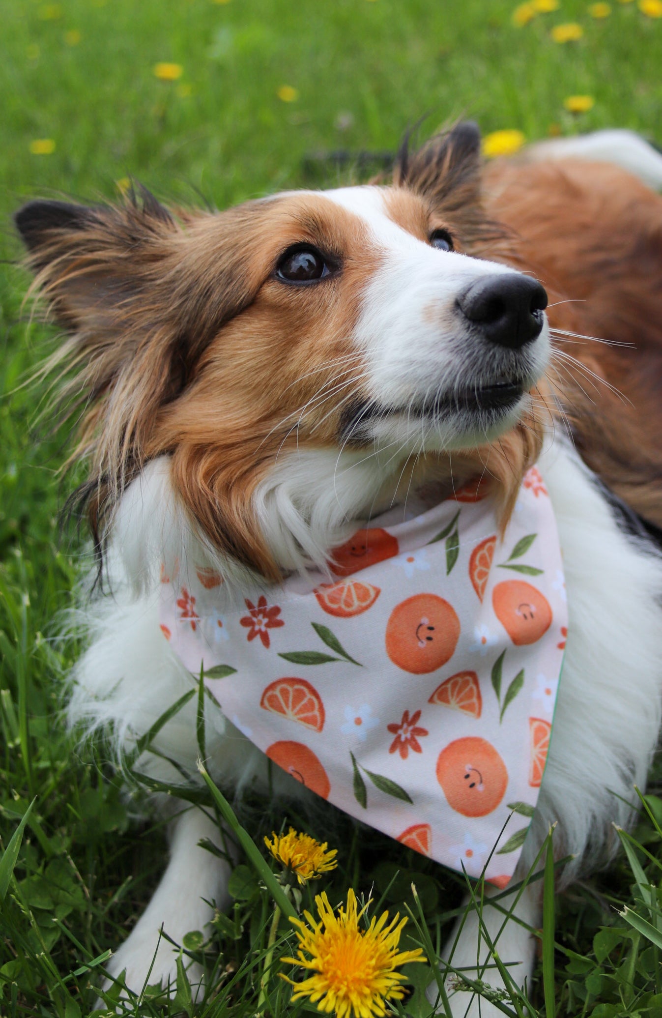 Smiley Orange Bandana