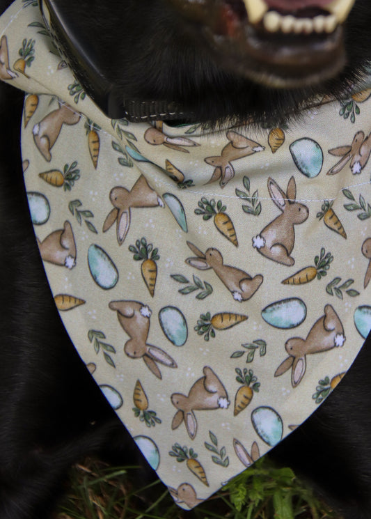 Peter Rabbit Bandana