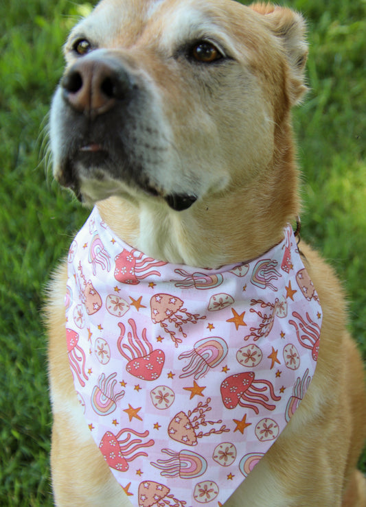 Groovy Jellyfish Bandana