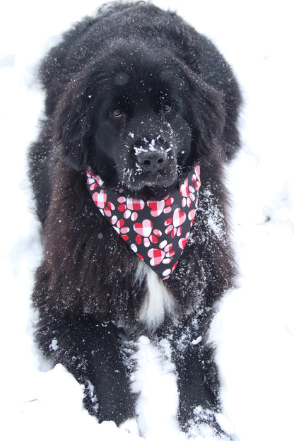 Plaid Pawprint Bandana
