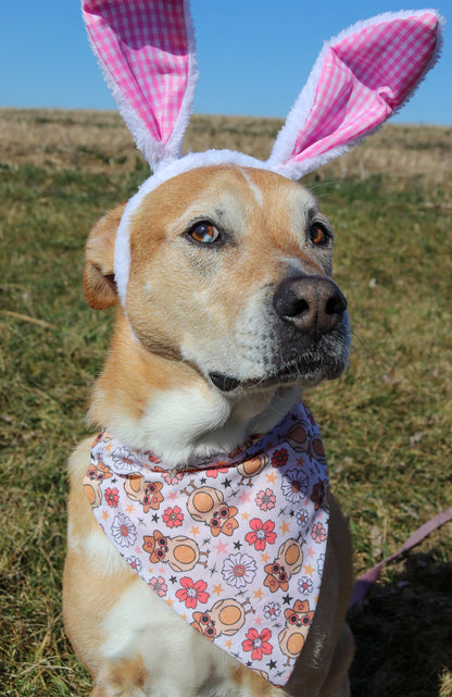 Groovy Easter Chick Bandana