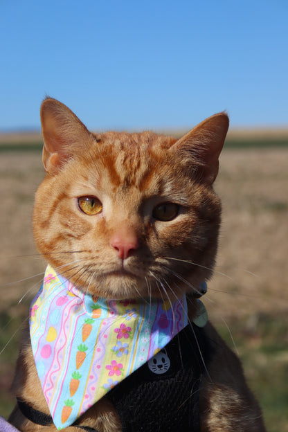Pastel Easter Cat Bandana