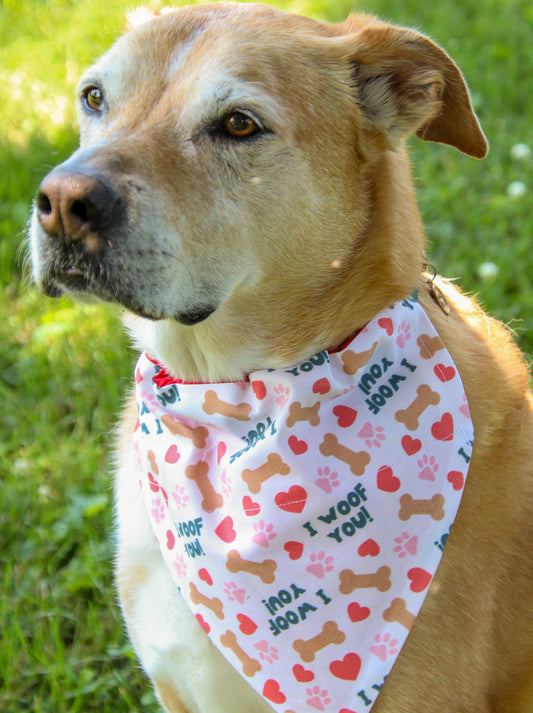 I woof you! Bandana