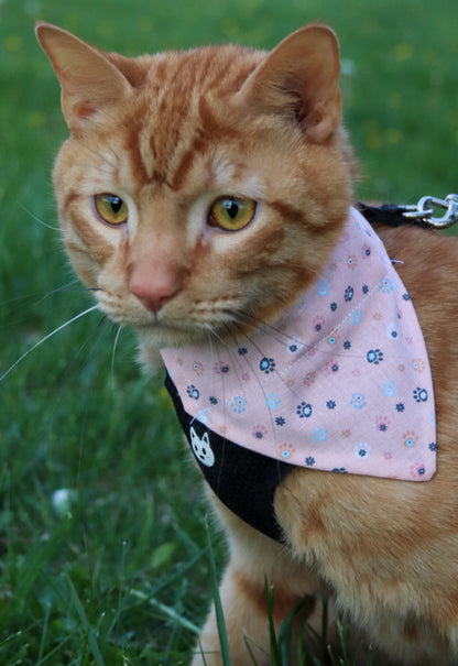 Mini Pawprint Cat Bandana