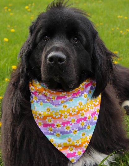Rainbow Floral Smiley Bandana