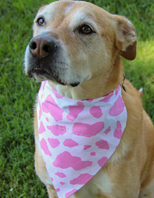 Pink Cow Print Bandana