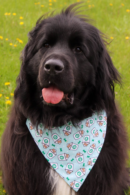 Pupcup Bandana