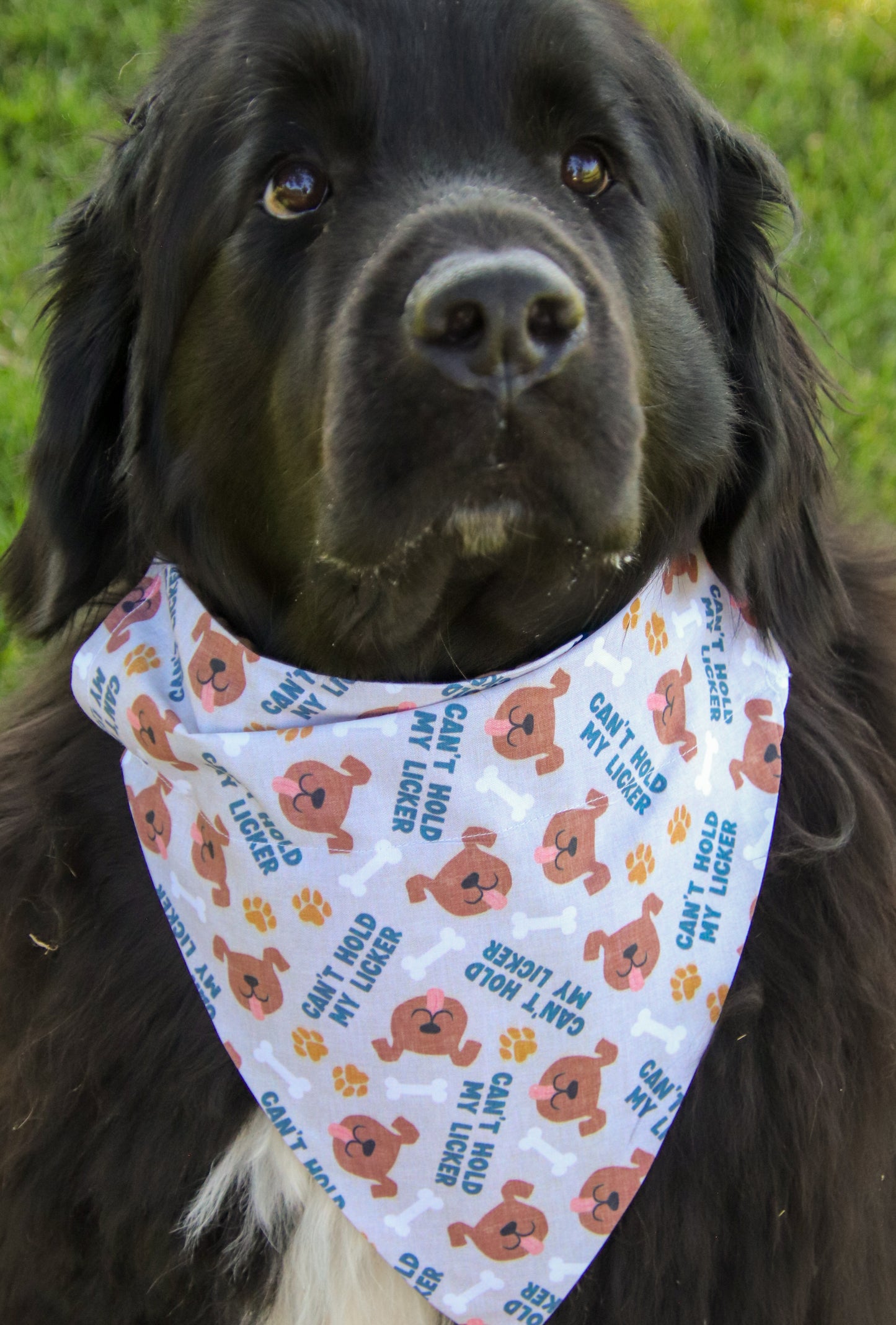 Can’t Hold My Licker Bandana
