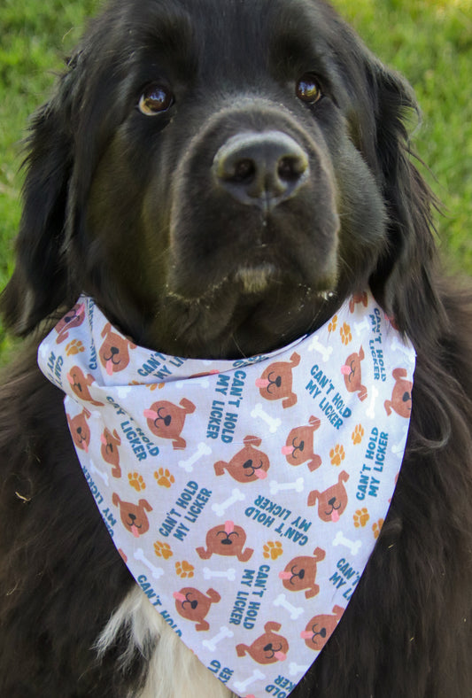 Can’t Hold My Licker Bandana