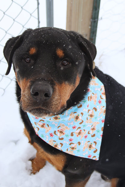 Winter Glitter Dog Bandana