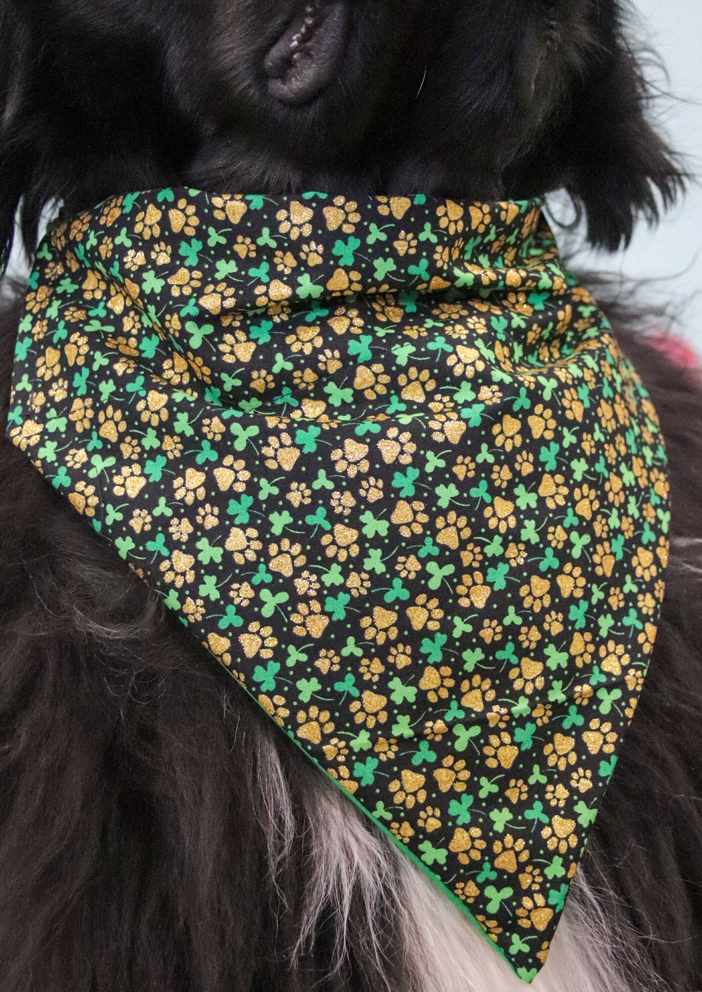 Glitter Shamrock Pawprint Bandana