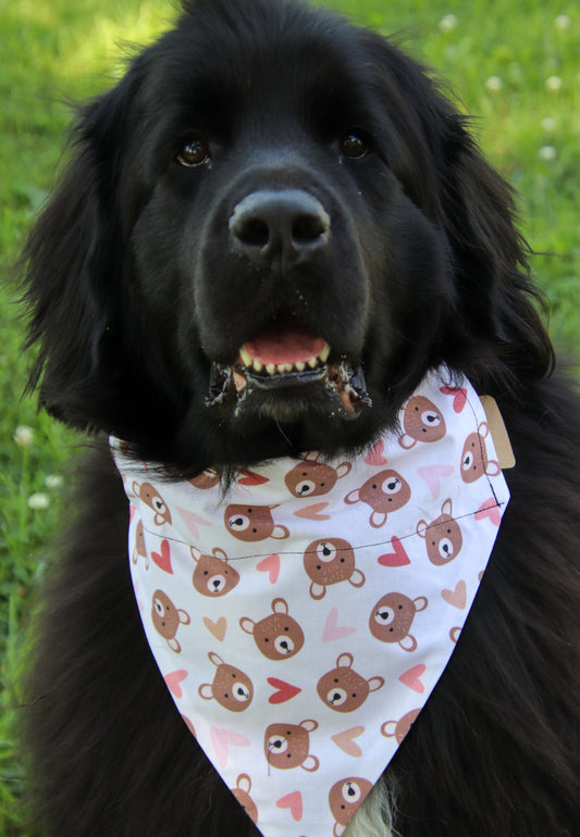 Heart Bear Bandana