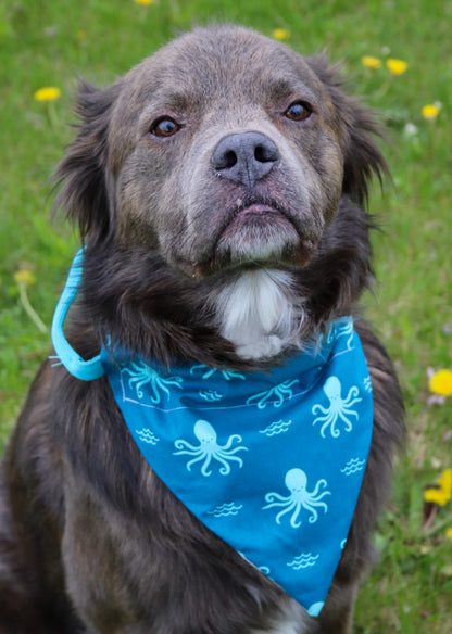 Octopus Bandana