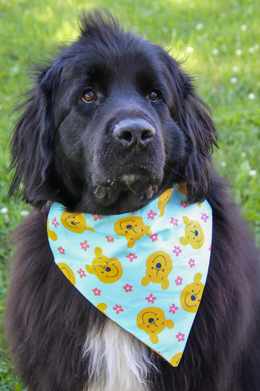 Winnie The Pooh Bandana