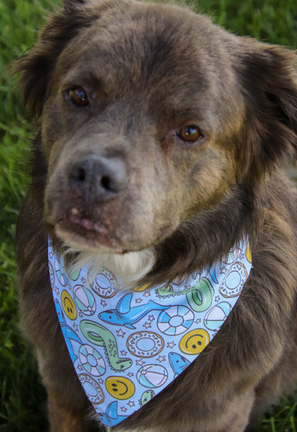 Inflatable Pool Floats Bandana